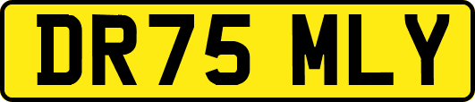 DR75MLY