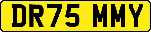 DR75MMY