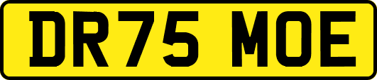 DR75MOE