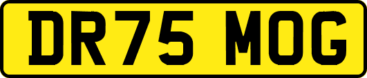 DR75MOG