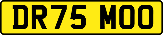 DR75MOO