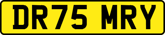 DR75MRY