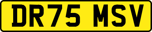 DR75MSV