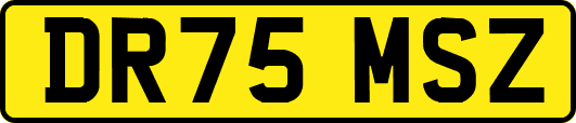 DR75MSZ
