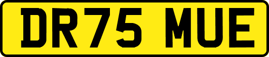 DR75MUE