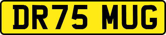 DR75MUG