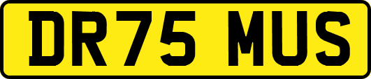 DR75MUS