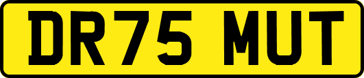 DR75MUT