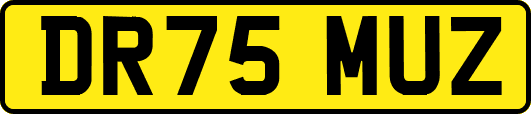 DR75MUZ