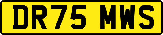 DR75MWS