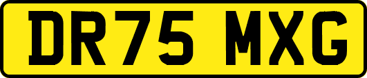 DR75MXG