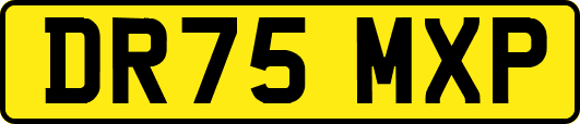 DR75MXP