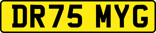 DR75MYG