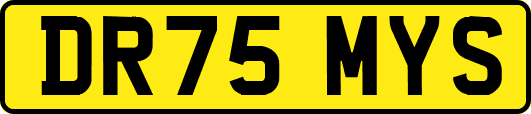 DR75MYS