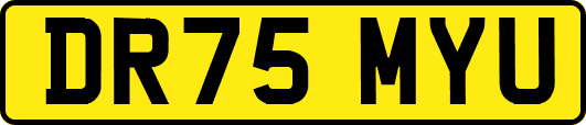 DR75MYU