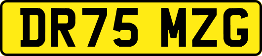 DR75MZG