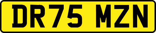 DR75MZN