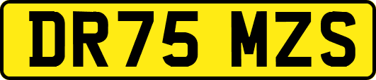 DR75MZS