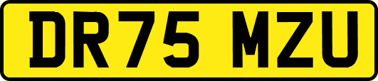 DR75MZU