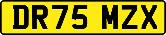 DR75MZX