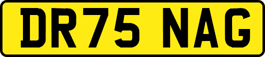 DR75NAG