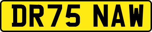 DR75NAW