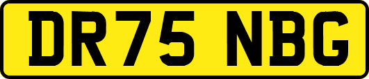 DR75NBG