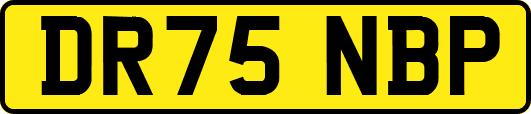 DR75NBP