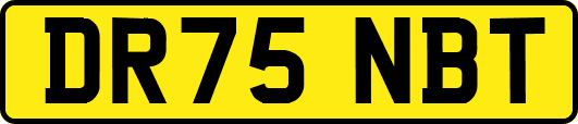 DR75NBT