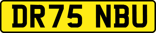 DR75NBU