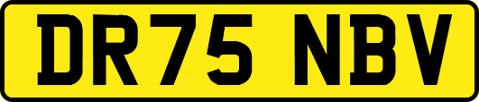 DR75NBV
