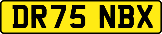 DR75NBX