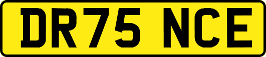 DR75NCE