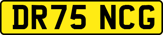 DR75NCG