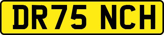 DR75NCH