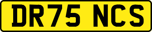 DR75NCS