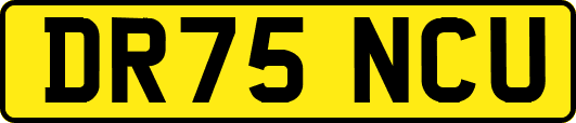 DR75NCU