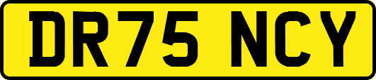 DR75NCY
