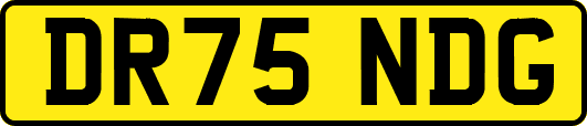 DR75NDG