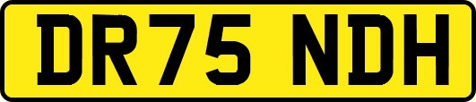 DR75NDH
