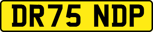DR75NDP