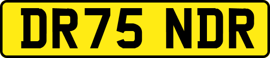 DR75NDR