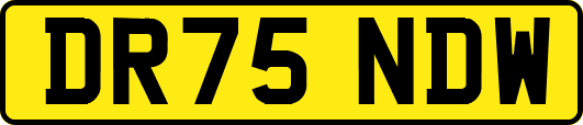 DR75NDW