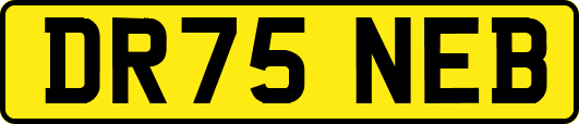 DR75NEB