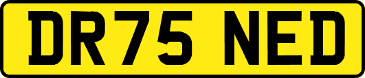 DR75NED