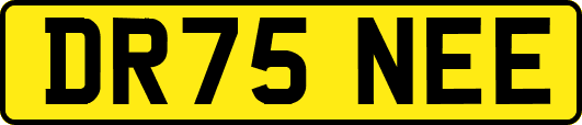 DR75NEE