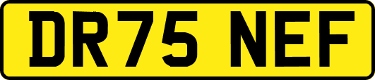 DR75NEF