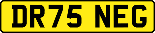 DR75NEG