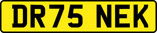 DR75NEK