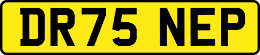 DR75NEP